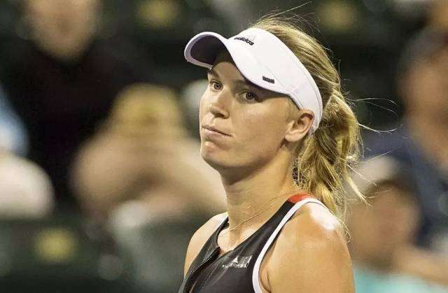 真的要来？谢什科比霍伊伦强在哪儿？